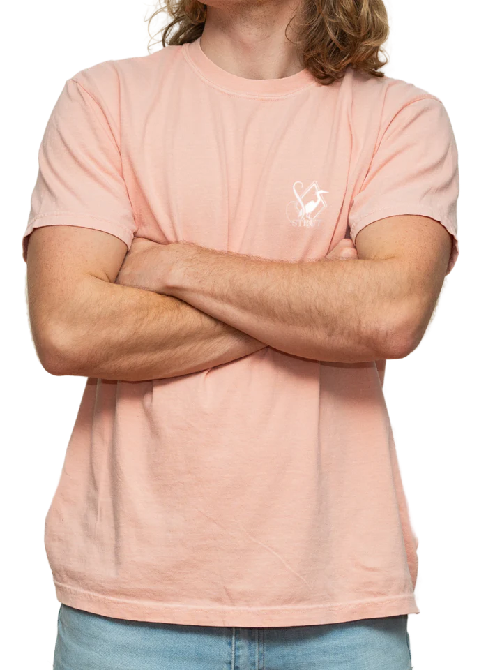 Southern Strut Brand Pointer Flag in Grass Men's T-Shirt ST#570