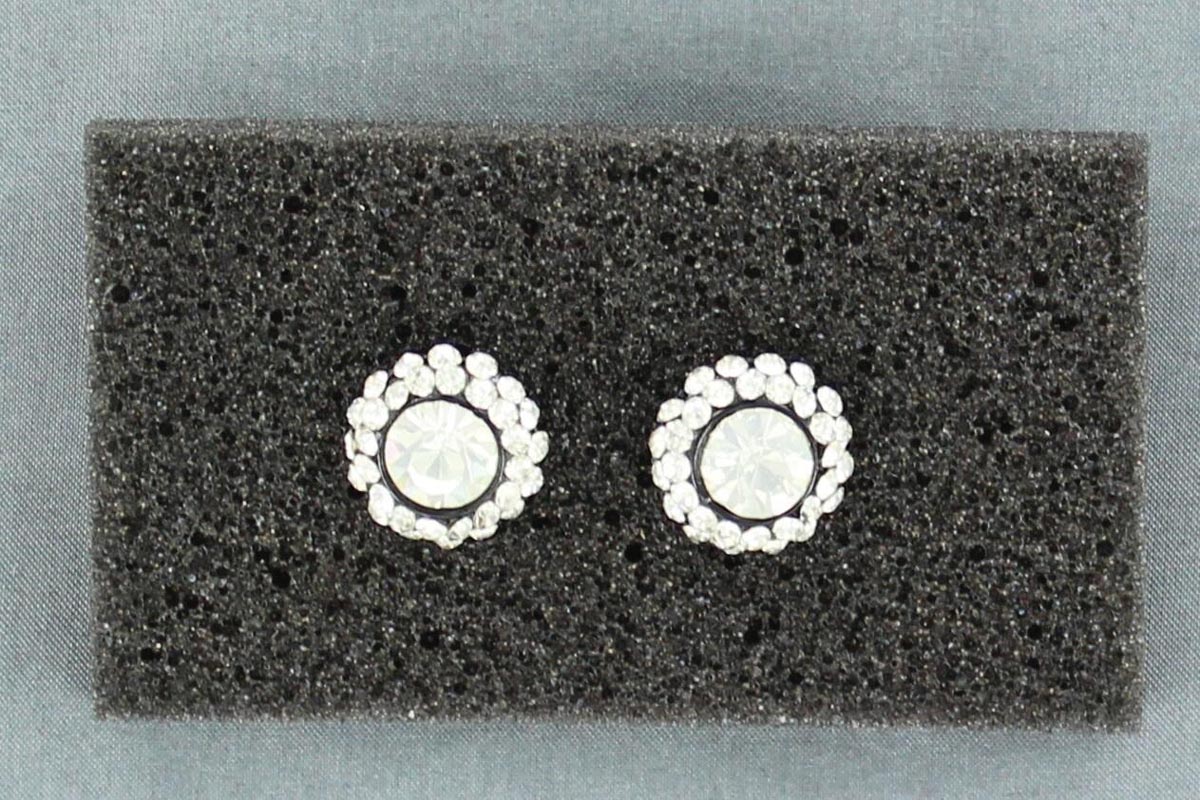 Blazin Roxx® Fashion Earrings Rhinestone Stud 29811