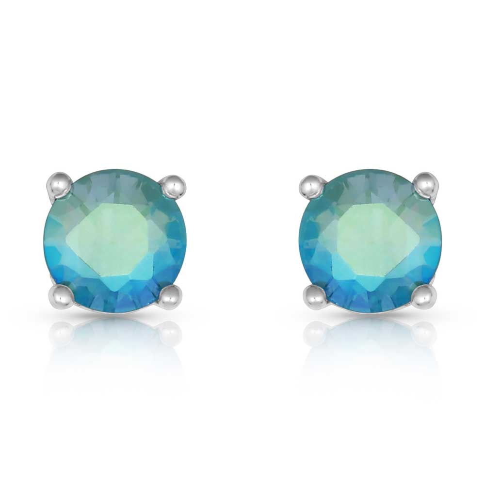 Montana Silversmiths® Luminescent Blue Post Earrings ER3945