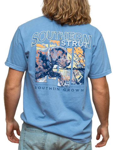 Southern Strut® Water Lab ST#582