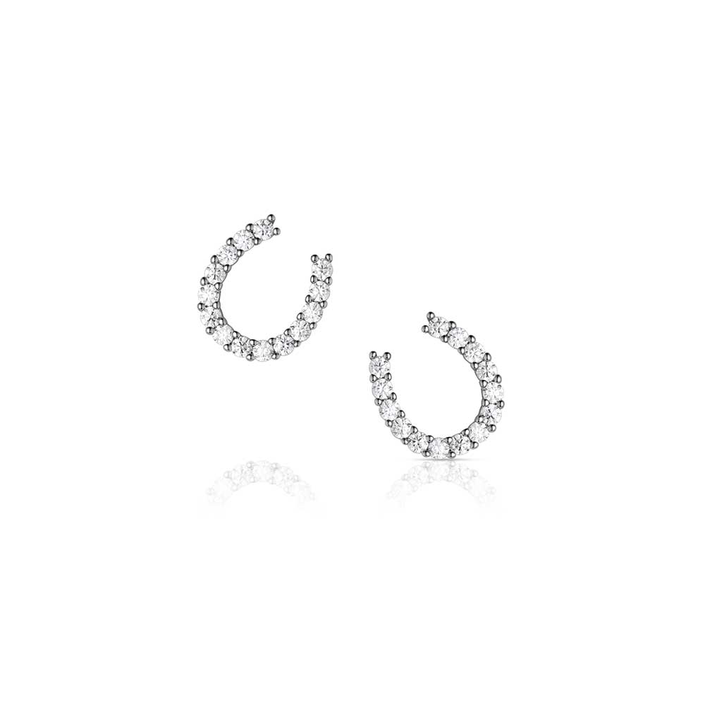 Montana Silversmiths® Tiny Rider Post Earrings ER1251